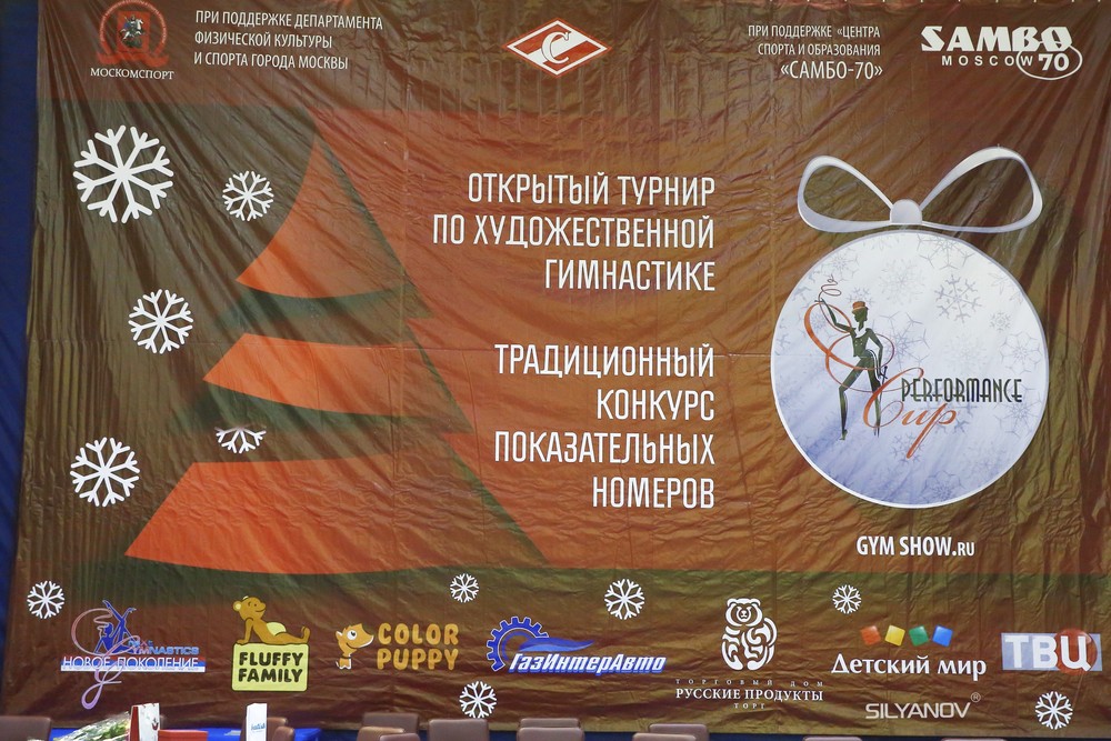 Performance Cup 2016 (17-18 декабря Москва)