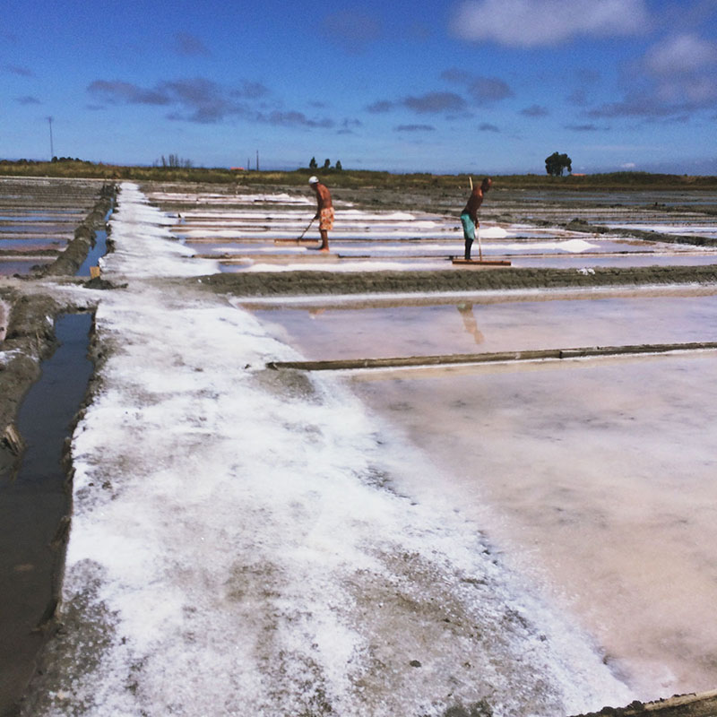 Portugese Sea Salt Fields, Aveiro