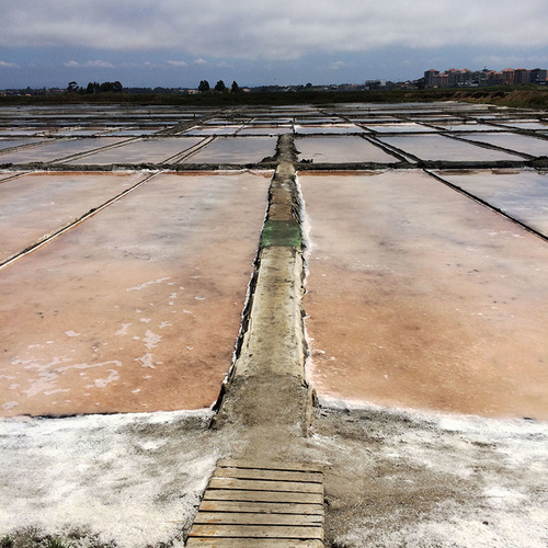Portugese Sea Salt Fields, Aveiro