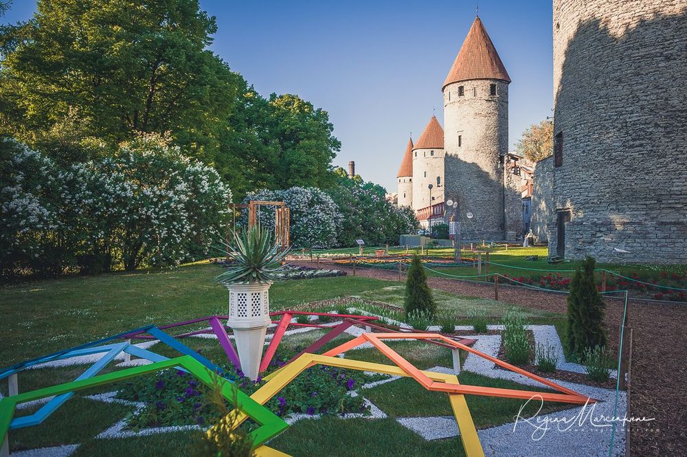 International Tallinn Flower Festival 2018 / Международный фестиваль цветов в Таллинне 2018