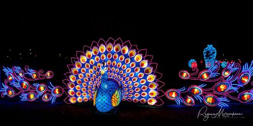Greatest Asian Lantern Festival / Большой Азиатский фестиваль фонарей 
