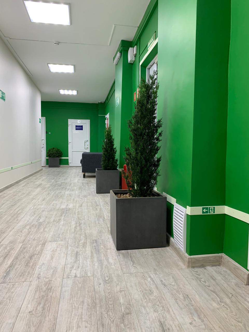 Озеленение офиса Game Forest