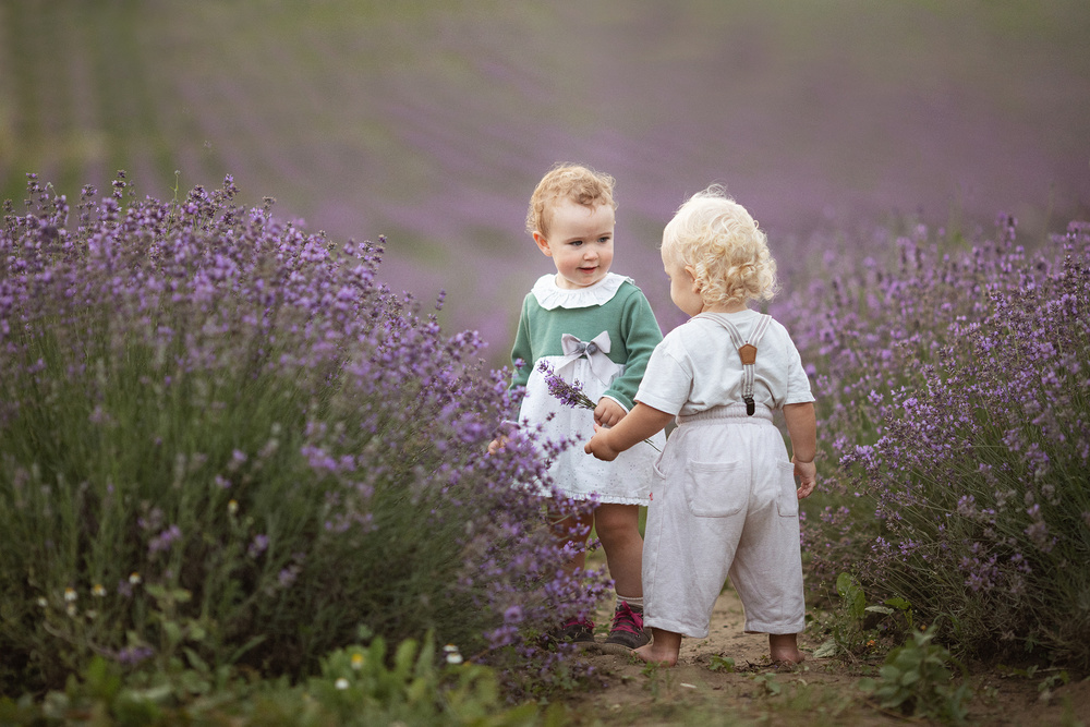 Kinder im Lavendelfeld