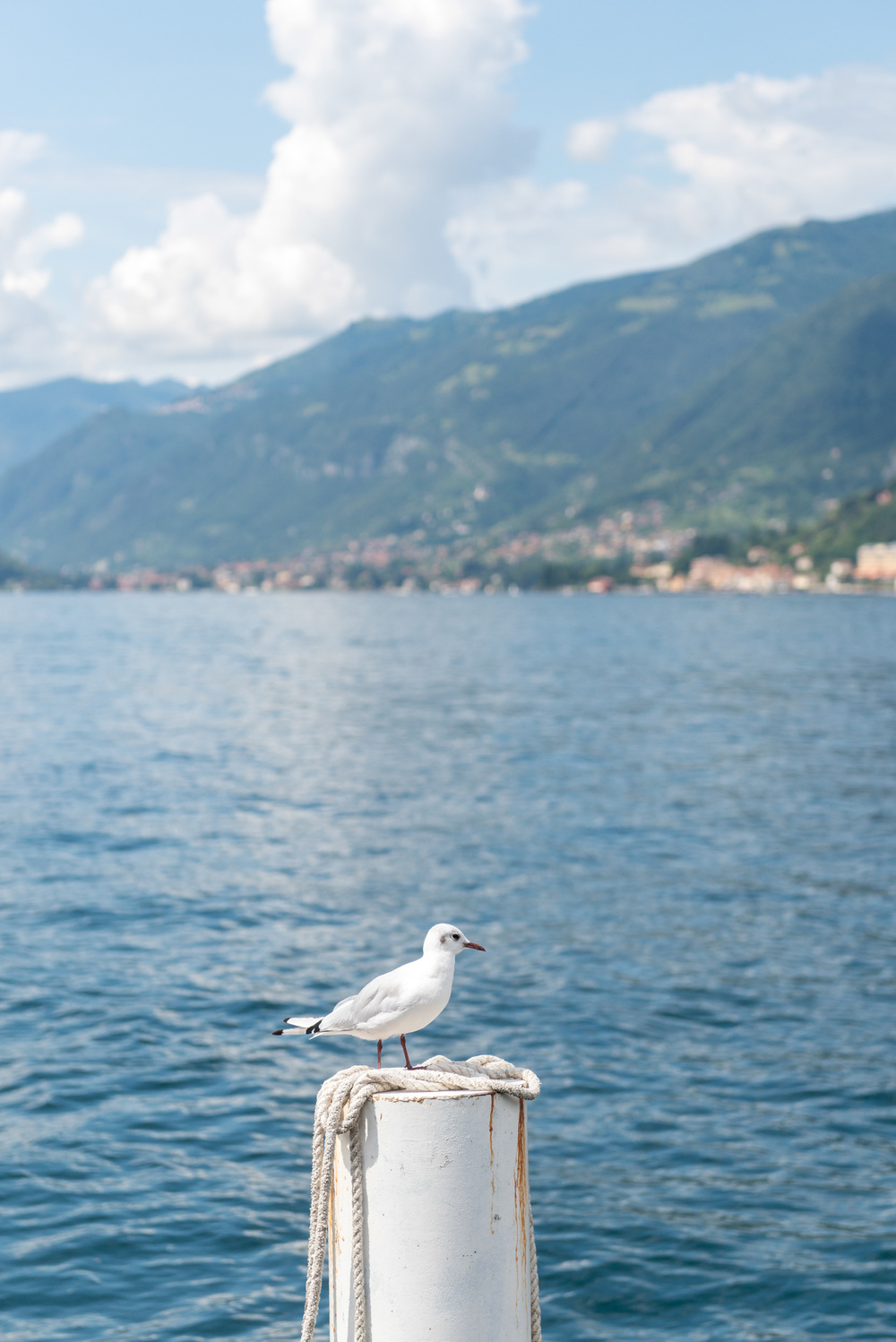 Italy: Como Lake