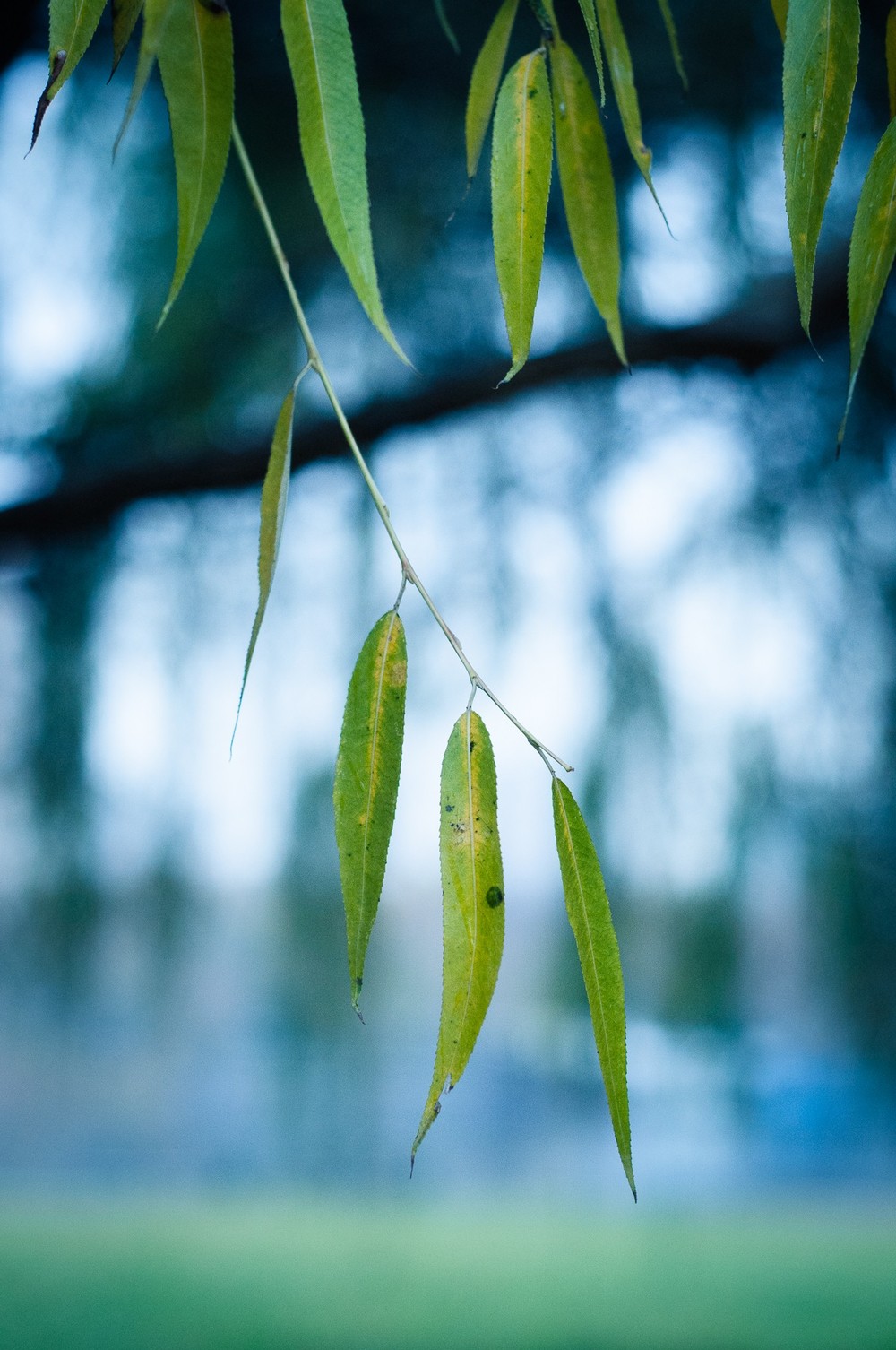 A rainy day