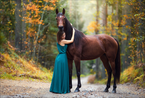  фотосессии с лошадьми ◆ horse and human
