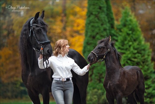  фотосессии с лошадьми ◆ horse and human