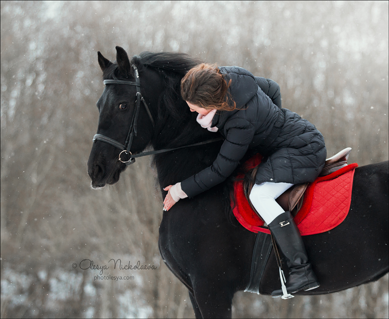  лошади и люди  ◆ horse and human
