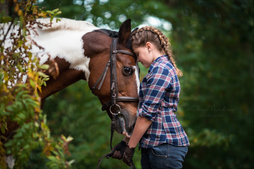  лошади и люди  ◆ horse and human
