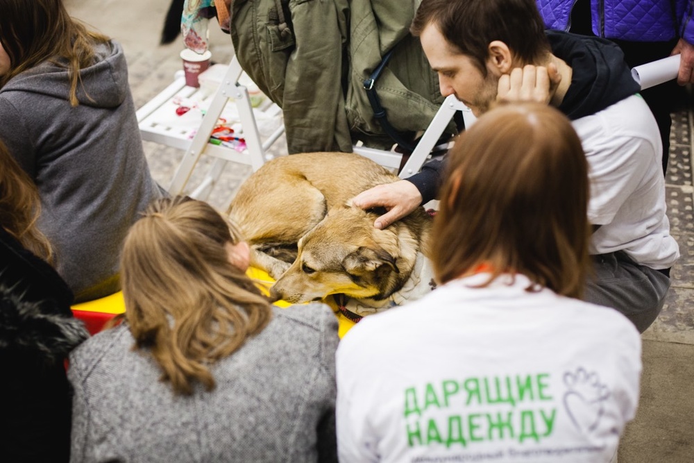 11 марта Собачки