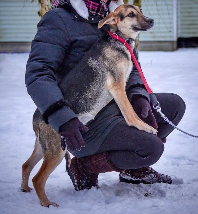 Джесси