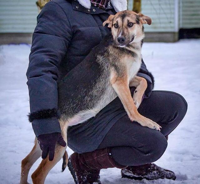 Джесси