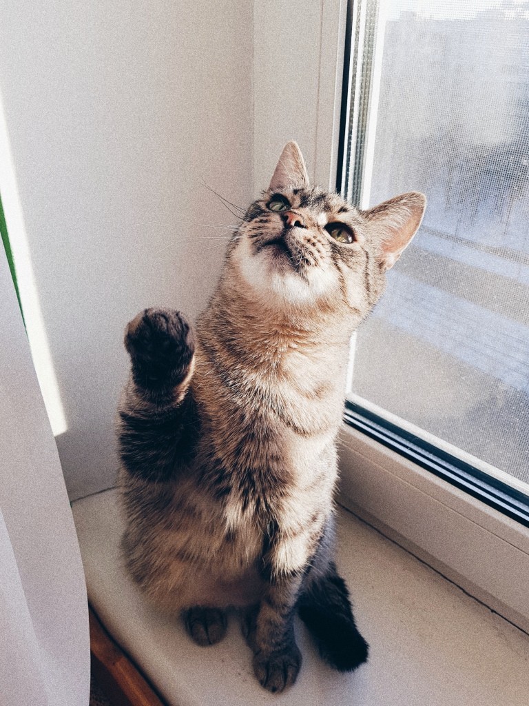 Люся