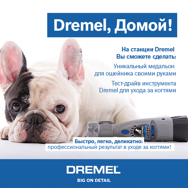 Dremel придет на фестиваль ДОМОЙ! чтобы вас (и нас :) удивлять!