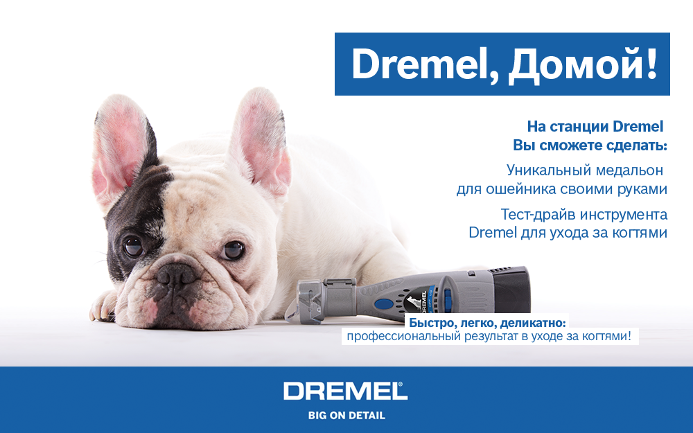 Dremel придет на фестиваль ДОМОЙ! чтобы вас (и нас :) удивлять!