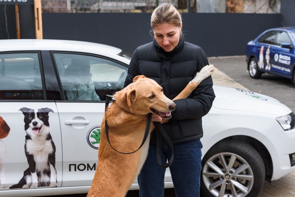 Собак и кошек повезут ДОМОЙ!  На ŠKODA PET-MOBIL!