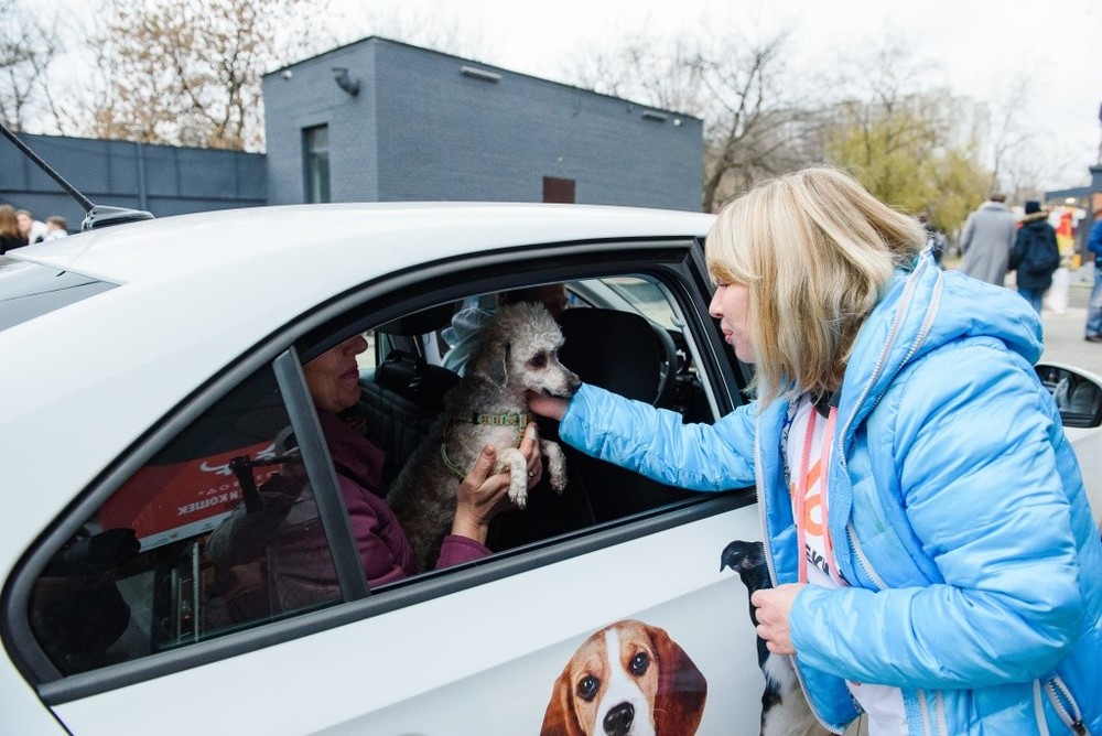 Собак и кошек повезут ДОМОЙ!  На ŠKODA PET-MOBIL!