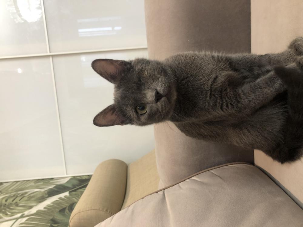Каспер