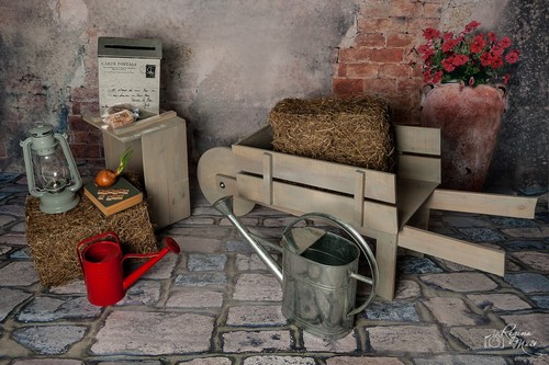 Rustic