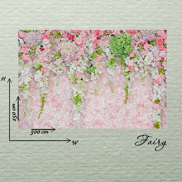 Photography Background