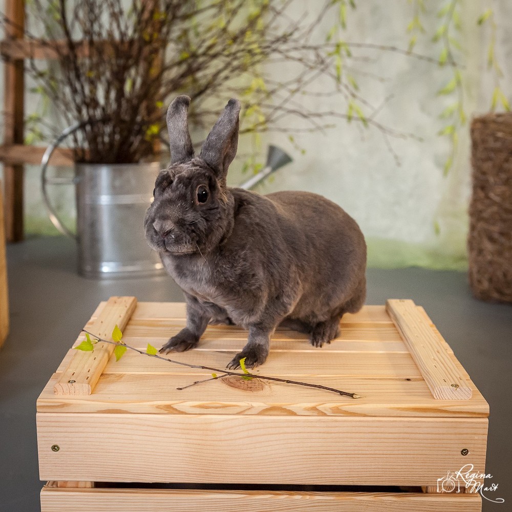 Spring decor