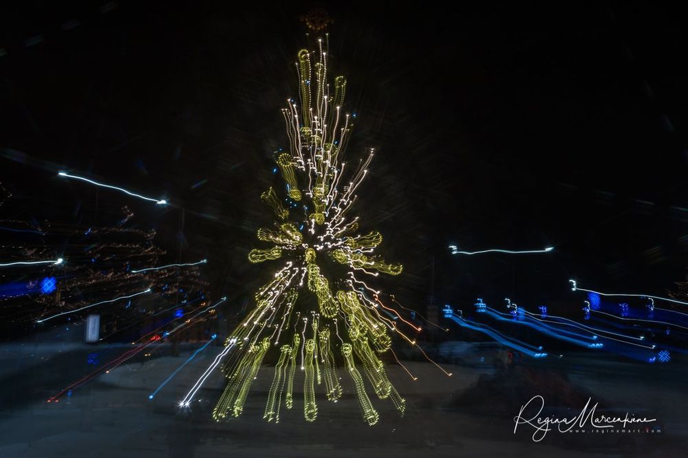 The way through the Christmas trees / Путь рождественских елок 