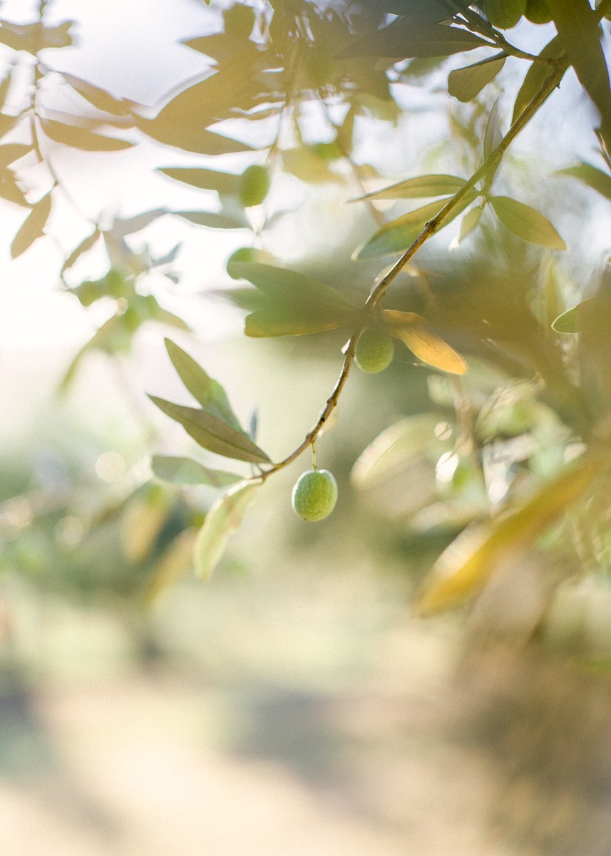 Galya & Illia, Umbria, Wedding