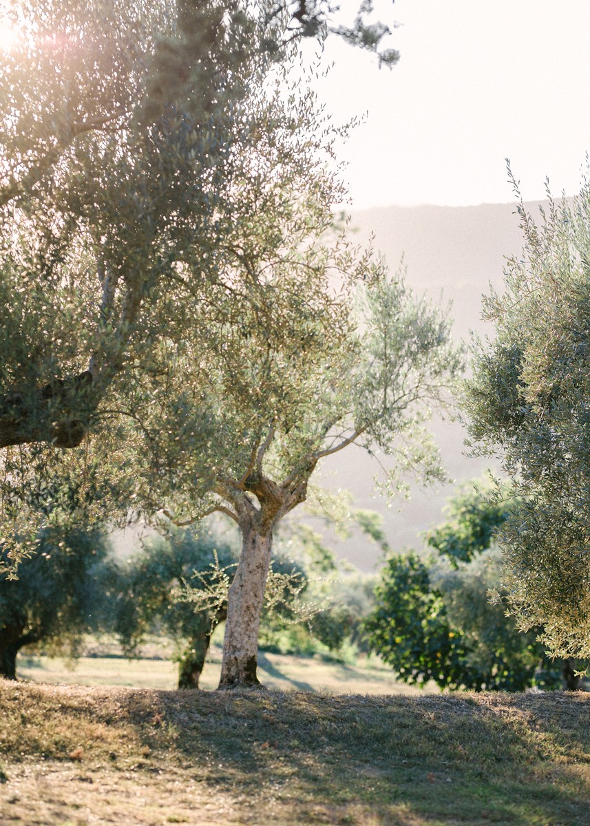 Galya & Illia, Umbria, Wedding