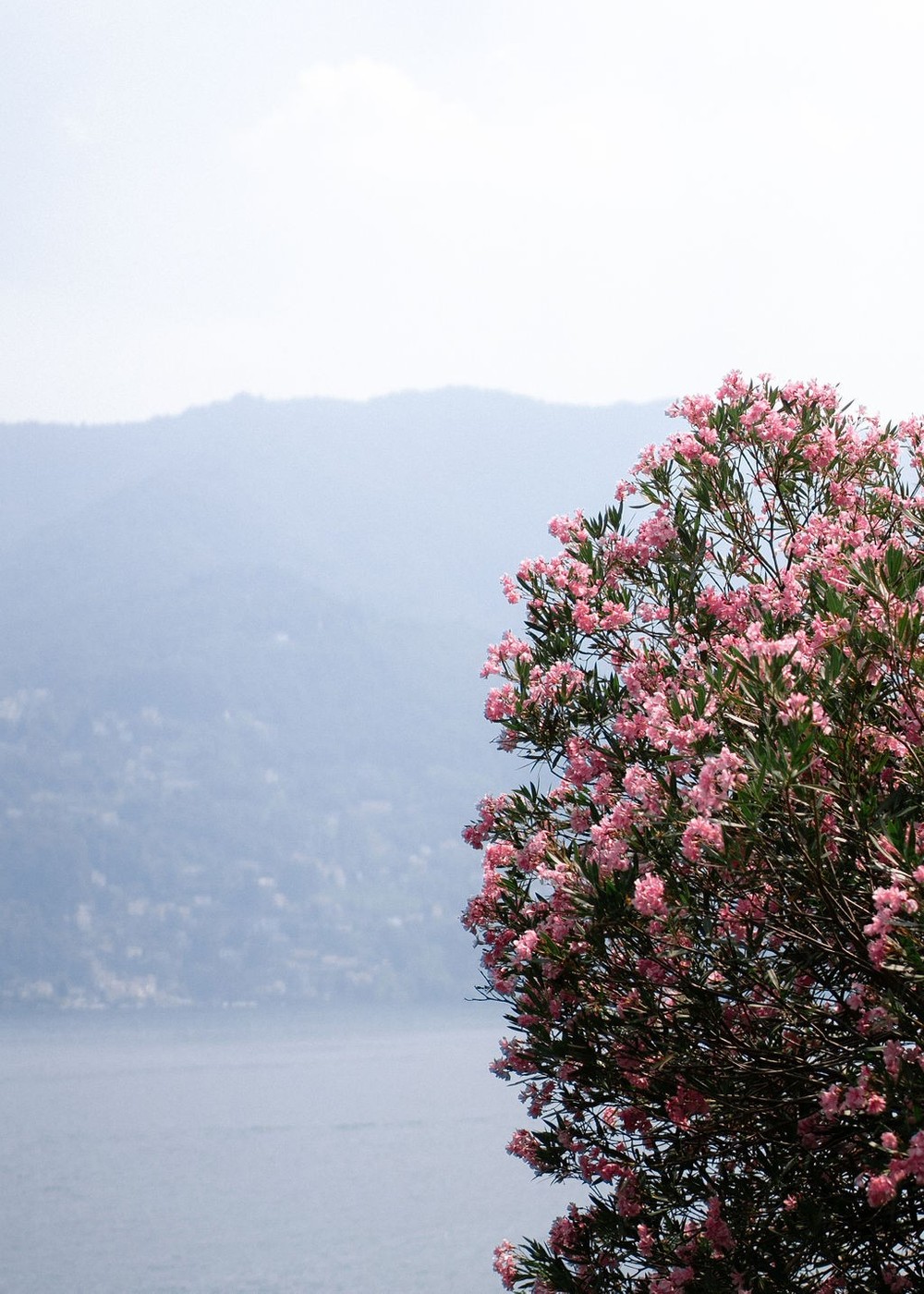 Anna & Alexey, Como, Italy