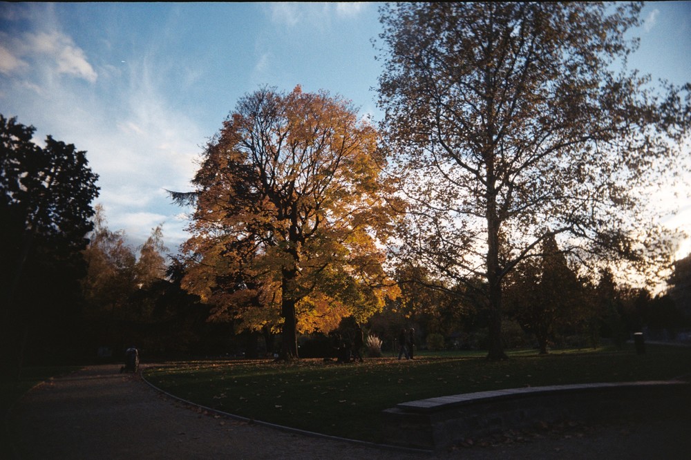 Köln – Bonn – Düsseldorf (November)