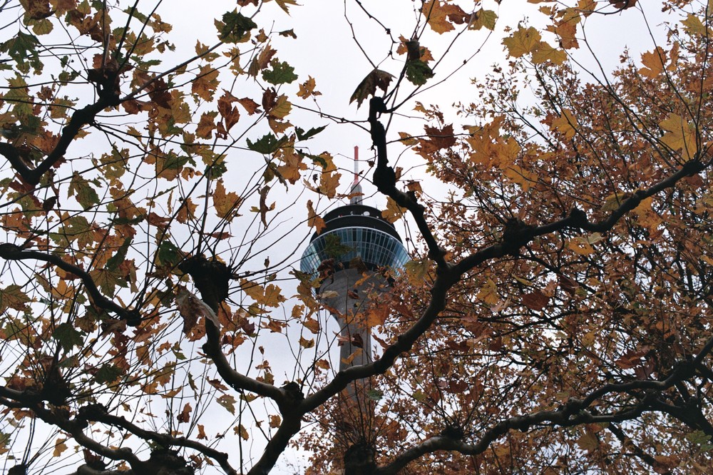 Köln – Bonn – Düsseldorf (November)