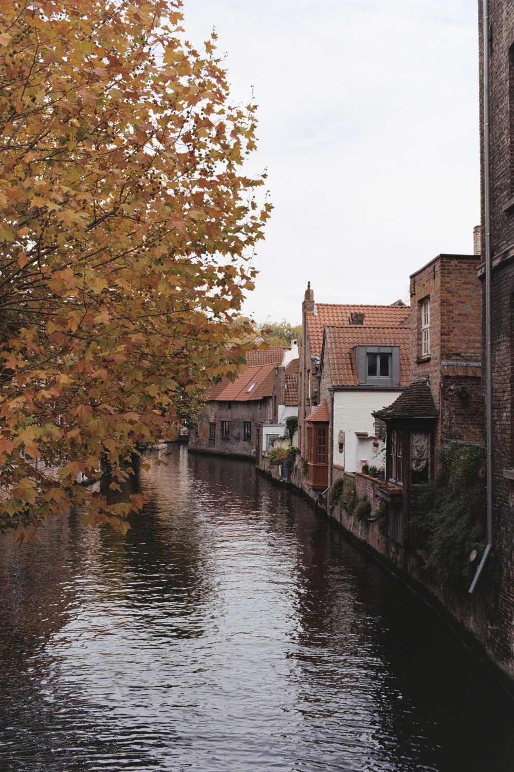 Brugge