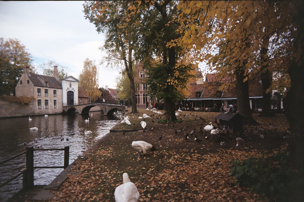 Brugge