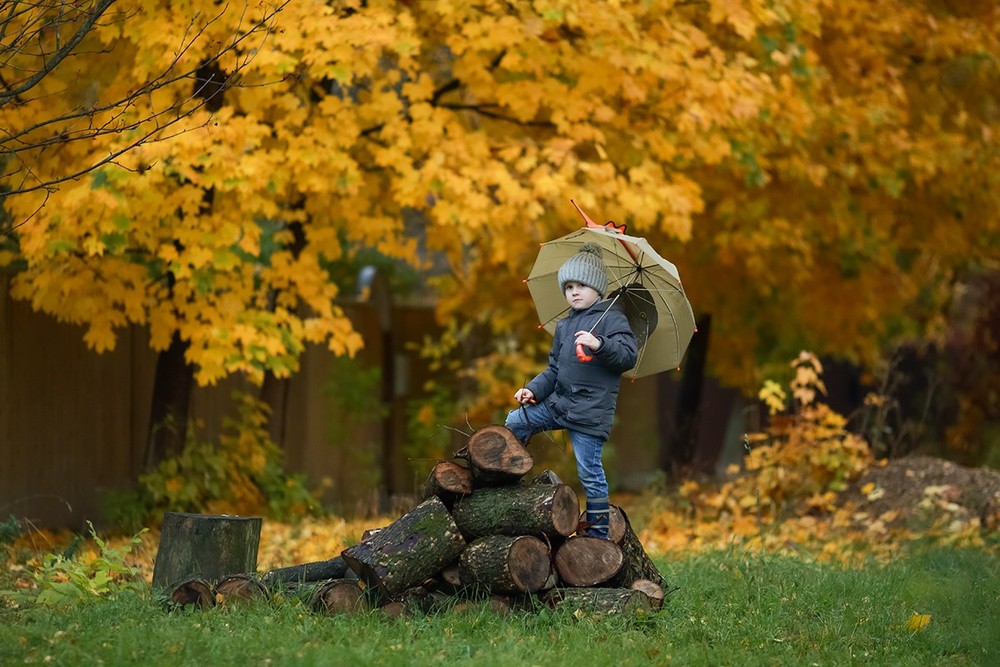 Поставь осенью