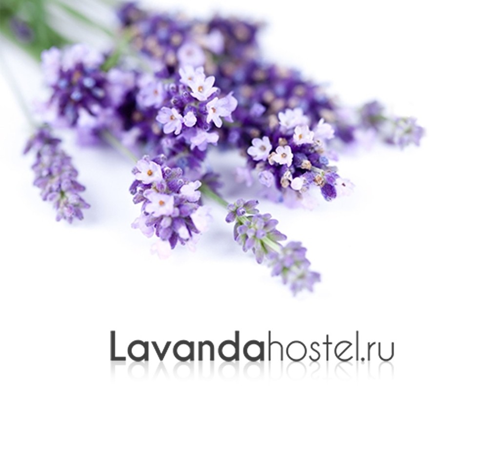 Lavanda